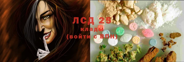 MESCALINE Аркадак