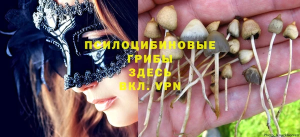 ALPHA PVP Арсеньев