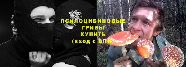 MESCALINE Аркадак